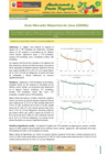 Vista preliminar de documento Boletín de Abastecimiento y Precios Mayoristas GMML y MM Nº2 -09/06/20