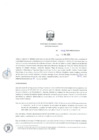 Vista preliminar de documento RD_0038_2020_MINEM_DGAAE