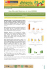 Vista preliminar de documento Boletín de Abastecimiento y Precios Mayoristas GMML y MM Nº2 -10/06/20