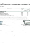 Vista preliminar de documento Anexo N° 6 - Aprobación de Modificaciones al Cuadro Multianual de Necesidades N° 00000335