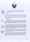 Vista preliminar de documento RD Nº 049-2020-DE
