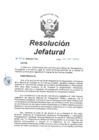 Vista preliminar de documento RJ-046-2020-ACFFAA