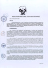 Vista preliminar de documento RD Nº 051-2020-DE