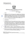 Vista preliminar de documento RCONAS-156-2020-PRODUCE-CONAS-CP