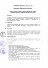 Vista preliminar de documento 374742003527516956