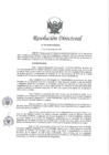 Vista preliminar de documento RD 045-2020-PCM-OGA
