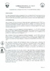 Vista preliminar de documento -4139530462939412057