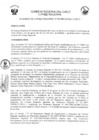 Vista preliminar de documento 4109817860349278216