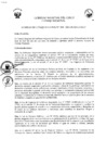 Vista preliminar de documento -3737514836093303442
