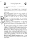 Vista preliminar de documento 1267970115737453748