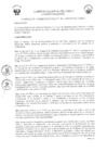 Vista preliminar de documento -4201486738886420747