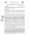 Vista preliminar de documento -1440479478385328223