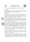 Vista preliminar de documento -3407806125580612510