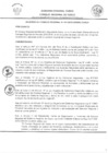 Vista preliminar de documento -411838060536935469