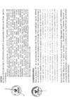 Vista preliminar de documento 2956545494304364165