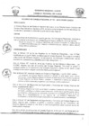 Vista preliminar de documento 4203935814871722350