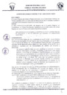 Vista preliminar de documento 382448920212004246
