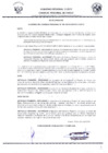 Vista preliminar de documento 1351760388000481747
