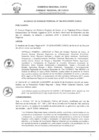 Vista preliminar de documento -4488778127394536623