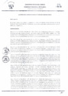 Vista preliminar de documento 204680809161615377