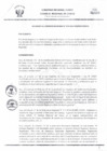 Vista preliminar de documento -2273073599912263199