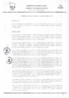 Vista preliminar de documento 191190291461141312