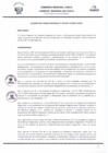 Vista preliminar de documento 3095390537234540892