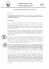 Vista preliminar de documento -3166865246308428053