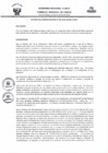 Vista preliminar de documento 3356456240101501745