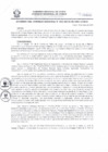 Vista preliminar de documento -4438428759677397366