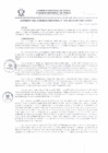 Vista preliminar de documento 3058677339831445259