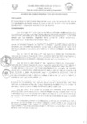 Vista preliminar de documento -1618574412940538676