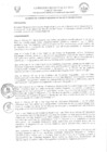 Vista preliminar de documento -3255829320868077945