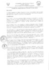 Vista preliminar de documento 3169112581059501003