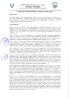 Vista preliminar de documento -2346107527344784661