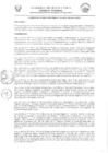 Vista preliminar de documento 1199625154068361225