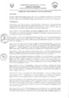 Vista preliminar de documento -1927775838828293311
