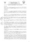 Vista preliminar de documento -4442842882464520347