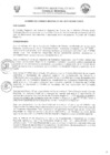 Vista preliminar de documento 3955789469209367299