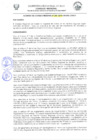 Vista preliminar de documento -203951119086459987