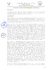 Vista preliminar de documento 1337920020432597882