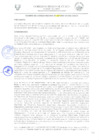 Vista preliminar de documento -4459940806984796177