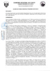 Vista preliminar de documento 2300079980498470356