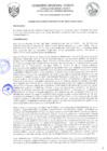 Vista preliminar de documento 81494755059026360