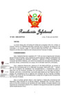Vista preliminar de documento RJ-063-ACFFAA-2020