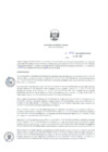 Vista preliminar de documento RD_0045_2020_MINEM_DGAAE