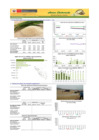 Vista preliminar de documento Boletín de ARROZ - 15/06/20
