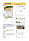 Vista preliminar de documento Boletín de ARROZ - 17/06/20