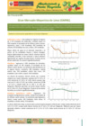 Vista preliminar de documento Boletín de Abastecimiento y Precios Mayoristas GMML y MM Nº2 -12/06/20