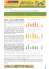 Vista preliminar de documento Boletín de Abastecimiento y Precios Mayoristas GMML y MM Nº2 -13/06/20
